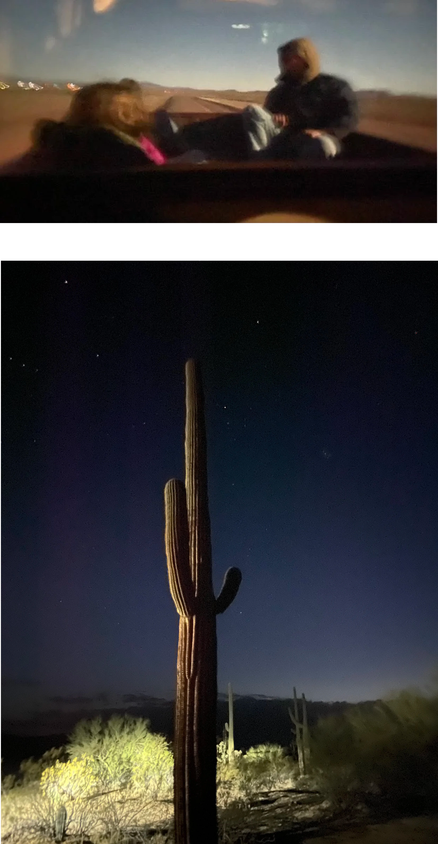 Passing By opening image sequence with road scene and cactus at night